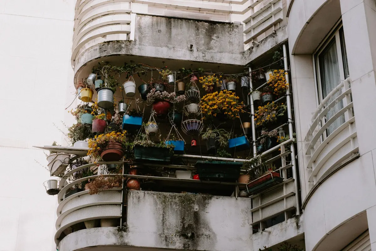 How to Start a Balcony Wildlife Garden in a UK City